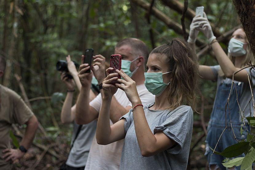 Volunteers in rainforest
