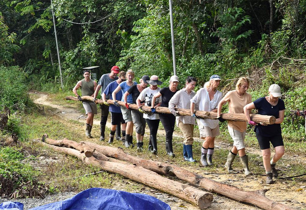 Volunteers carrying ironwood poles from the forest to the new orangutan island