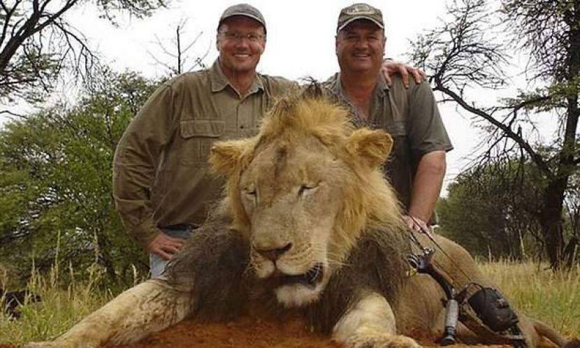 Trophy Hunting Lions