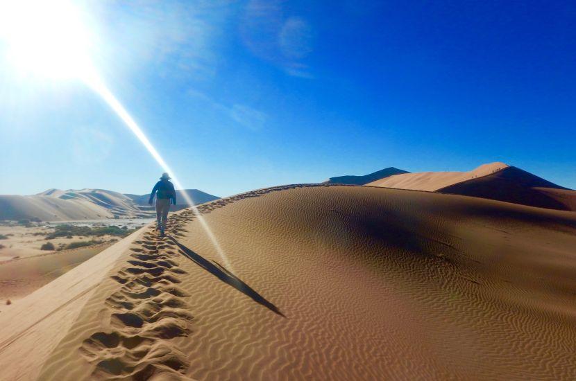 Climbing Big Daddy - Six Day Dunes and Wildlife Experience