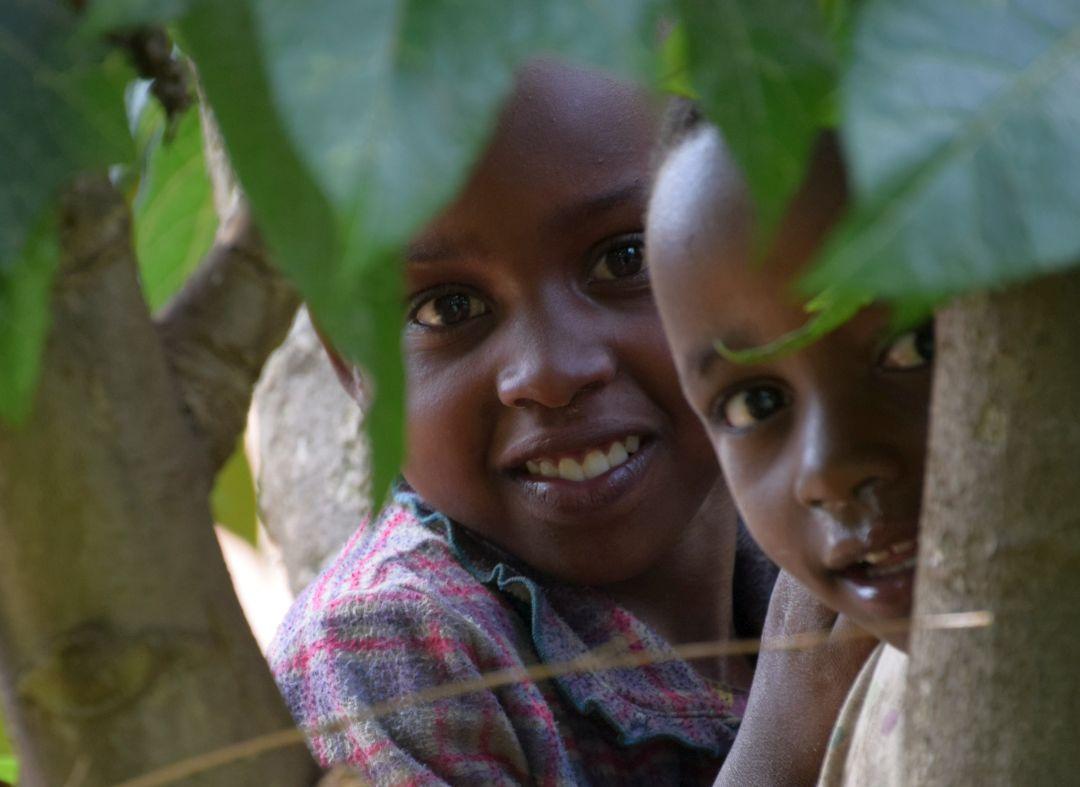 School Children In Uganda On The Great Gorilla Project