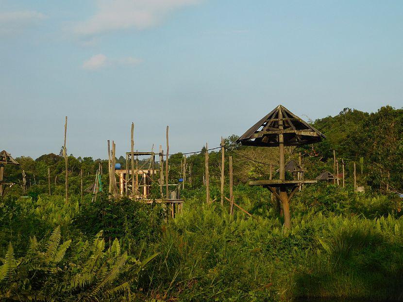 Complete Orangutan Island 