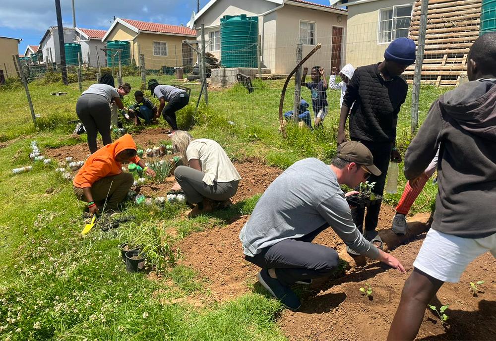 Volunteers planting fresh produce for the local communities in South Africa