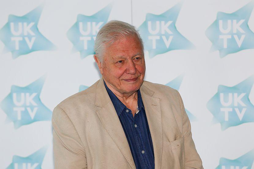 David Attenborough tv awards