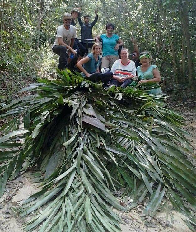 Borneo Tree Cutting
