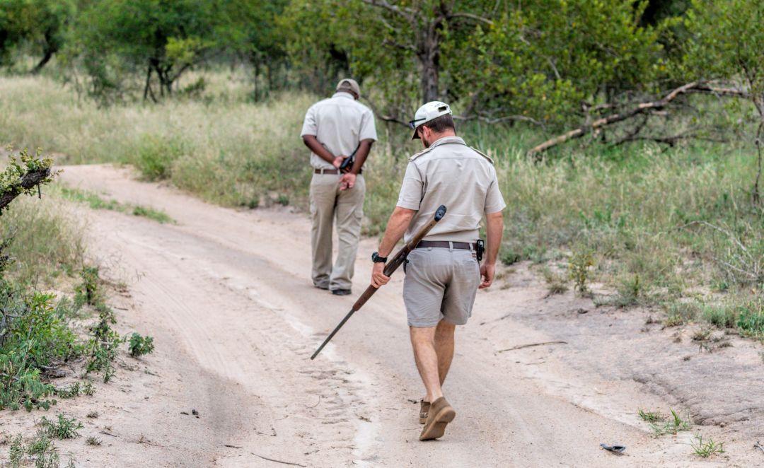 Anti-Poaching Unit In Africa (World Animal Day 2018) - The Great Projects