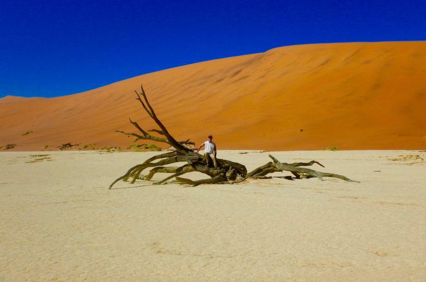 Deadvlei - Six Day Dunes and Wildlife Experience