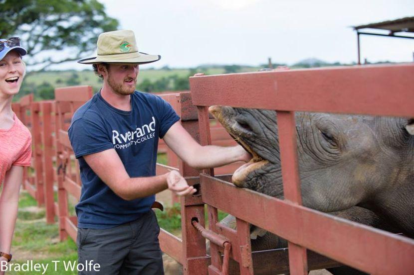 Feeding Rhino on Rhino and Elephant Conservation Project