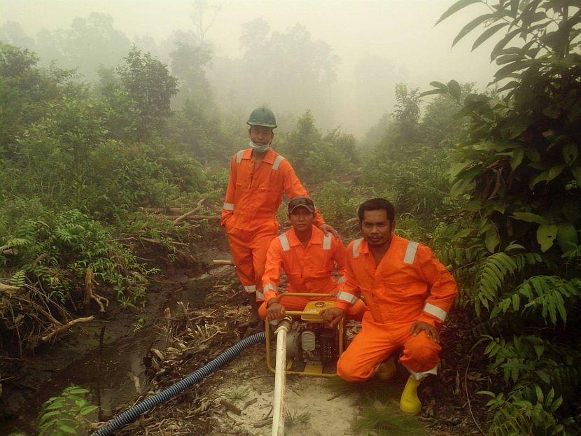 Indonesia Forest Fire