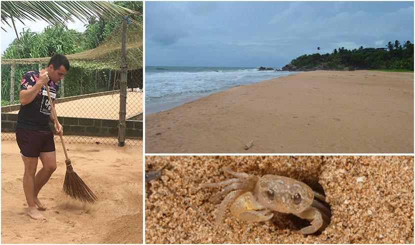 Beach Cleanup in Sri Lanka The Great Turtle Project