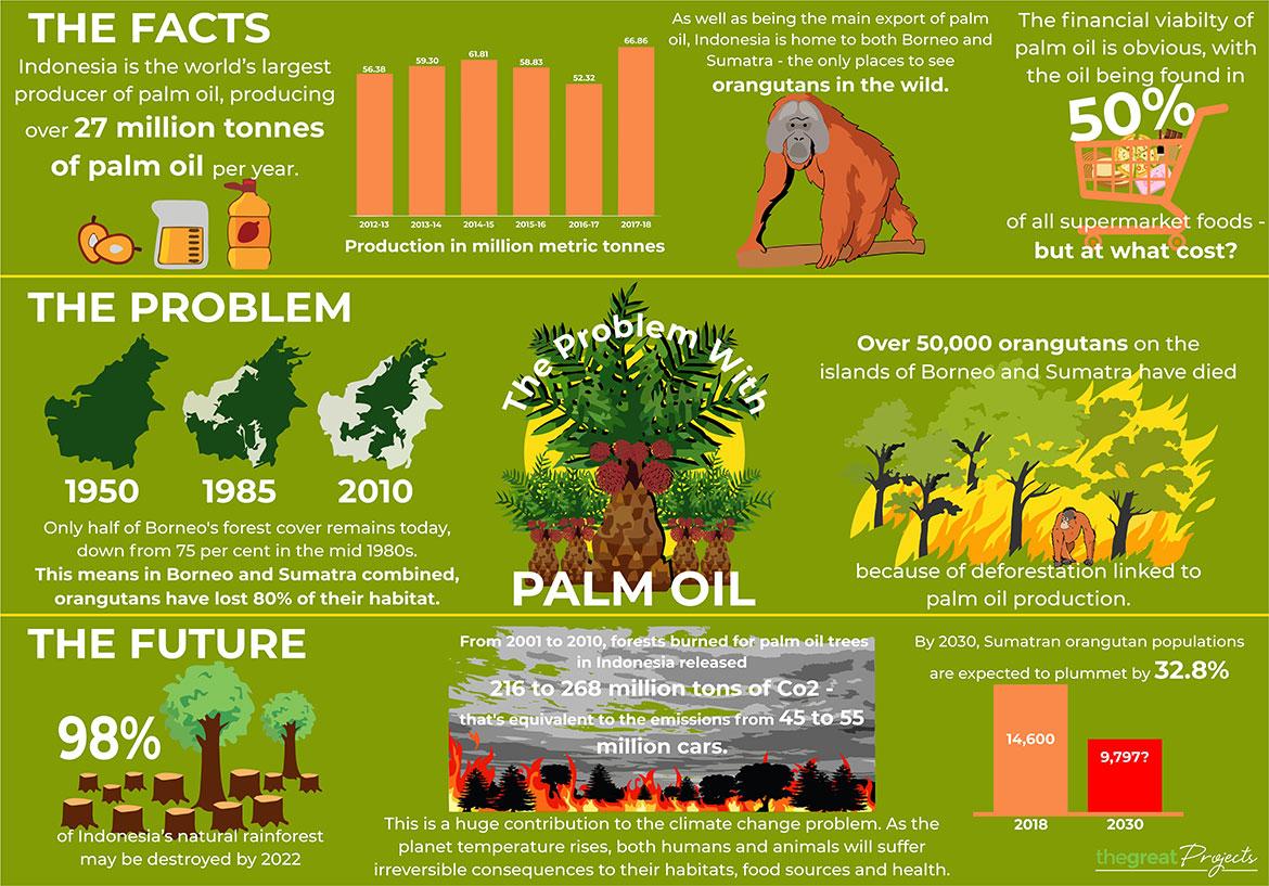 The Great Projects - The Effects of palm oil