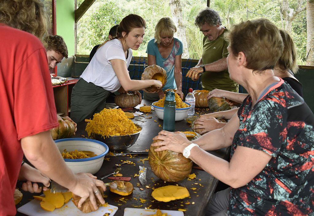 Pumpkin Carving at the Samboja Lestari Orangutan Project