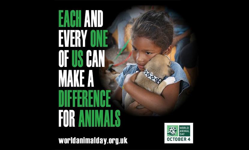 World Animal Day Banner