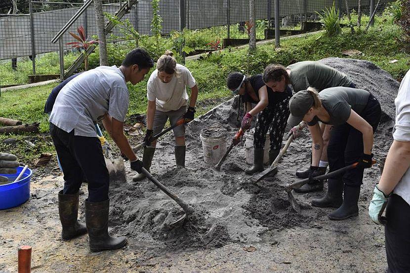 Volunteers cementing enclosure