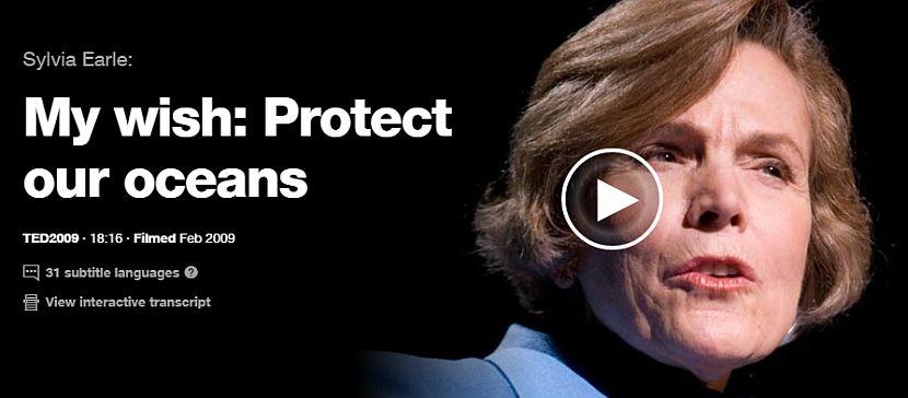 Ted Talks Protect The Ocean