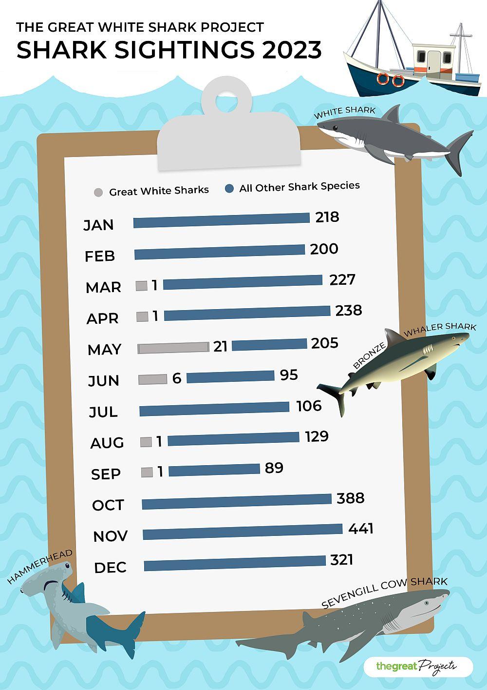 Infographic of shark sightings on The Great White Shark Project in 2023